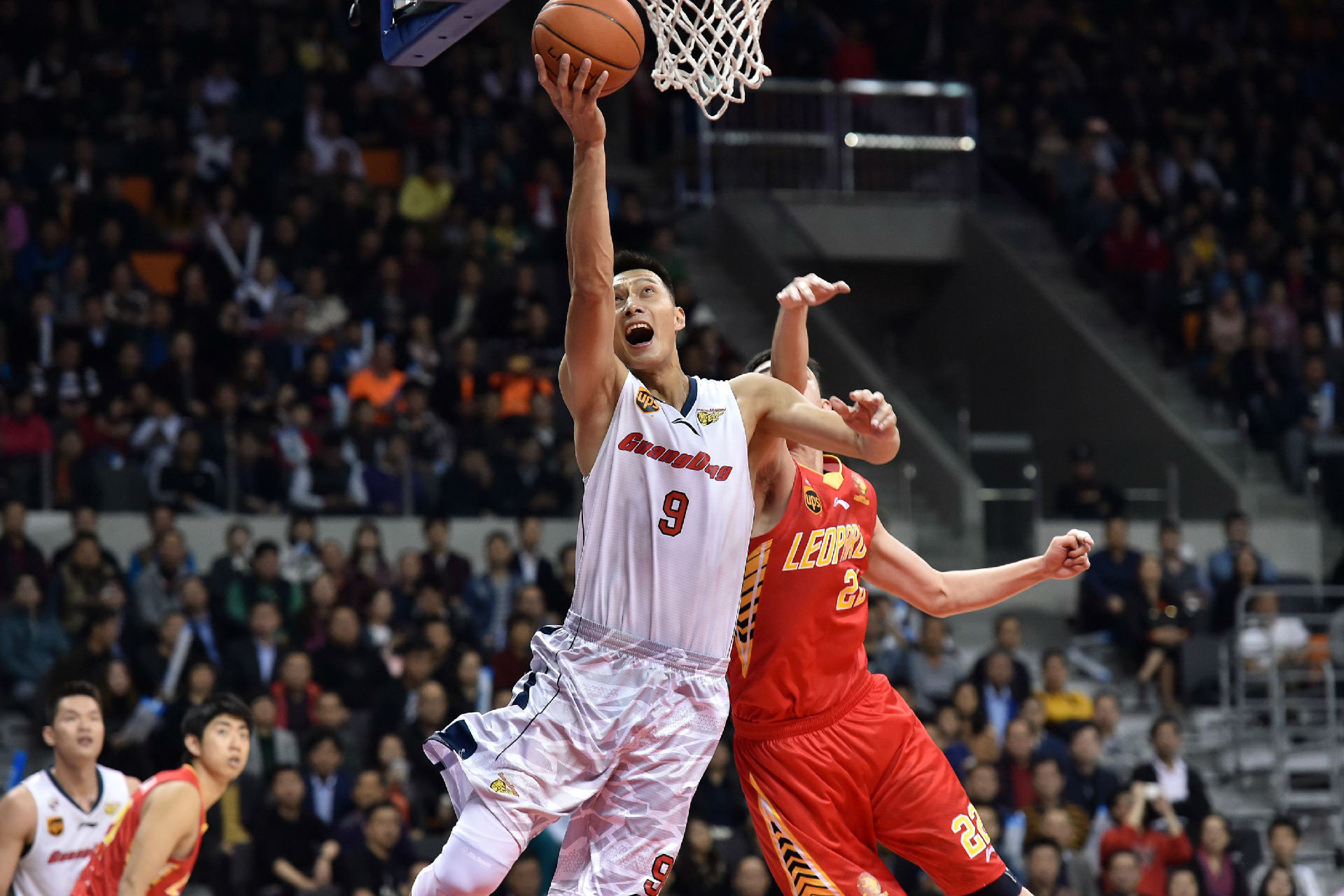 在专题片中 在专题片中